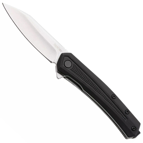 Kershaw Raygun Pocket Knife Kershaw Raygun Pocket Knife