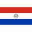 International Durable Polyester World Flag