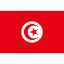 International Durable Polyester World Flag