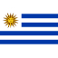 International Durable Polyester World Flag