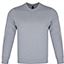 RavenX HeavyTerry Sweatshirt