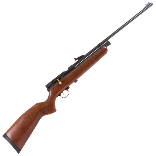 Sportsman CO2 Single Shot Bolt Action .177cal Air Rifle