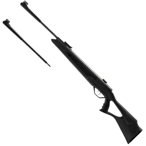 Beeman Dual Caliber Air Rifle