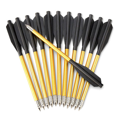 Desire Crossbow Bolts - 12 pack