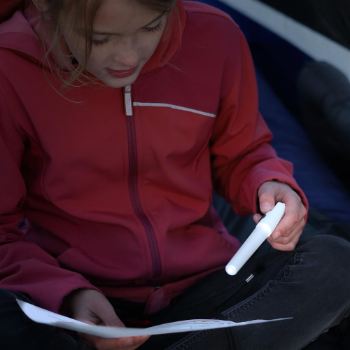 LED Lightstick - White/Red/Green