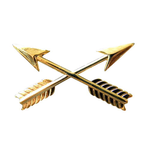 Army Special Operations Pin