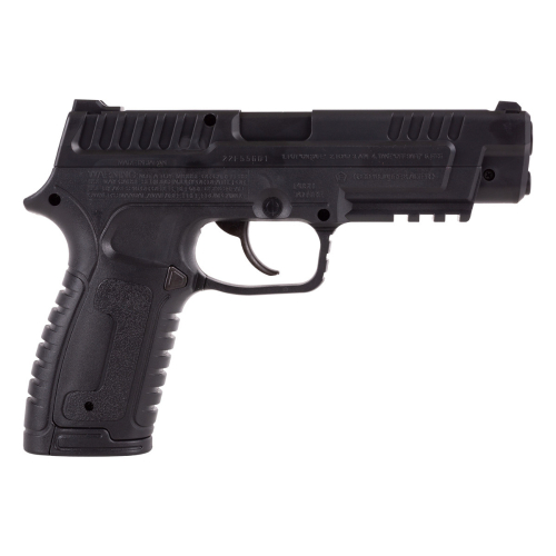 Gamo P-430 CO2 Pellet/Steel BB Gun