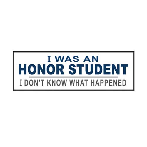I Was An Honour Student I Dont Know What Happened Sticker