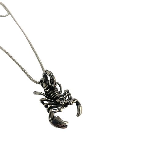 Pendant Steel Necklace