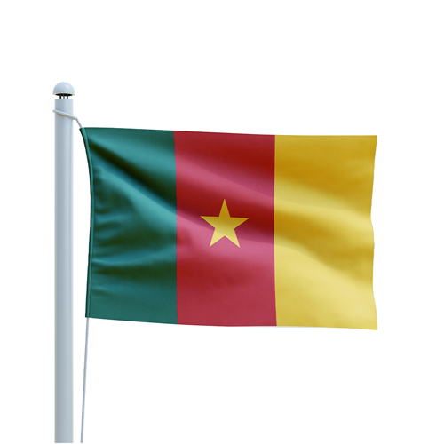 Country Flag - Cameroon