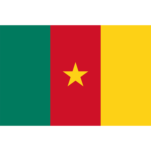Country Flag - Cameroon