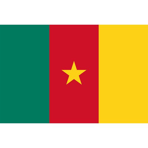 Country Flag - Cameroon