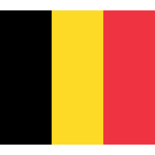 International Durable Polyester World Flag