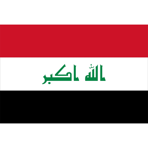 International Durable Polyester World Flag
