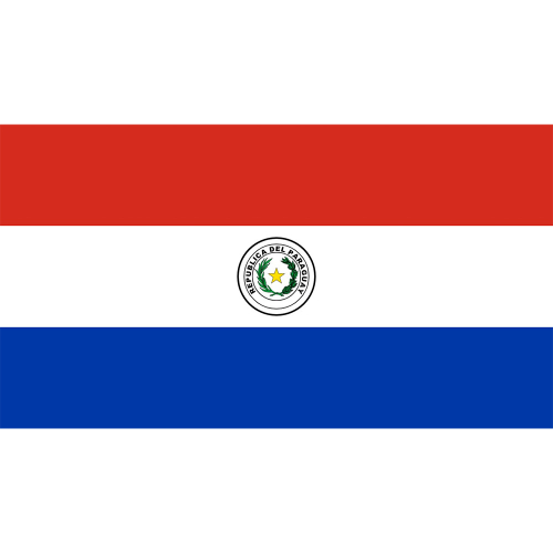 International Durable Polyester World Flag