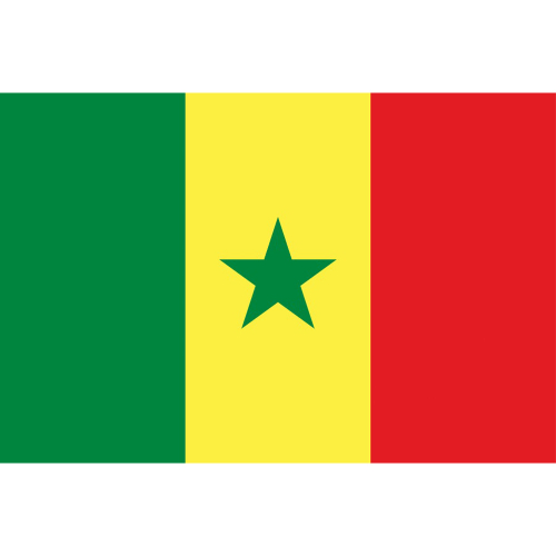 International Durable Polyester World Flag
