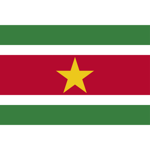 International Durable Polyester World Flag