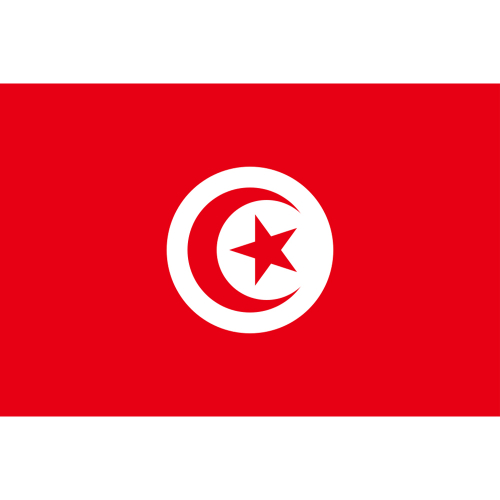 International Durable Polyester World Flag