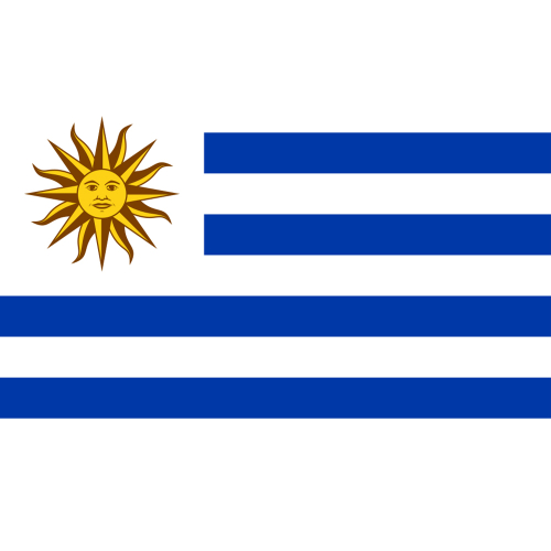 International Durable Polyester World Flag