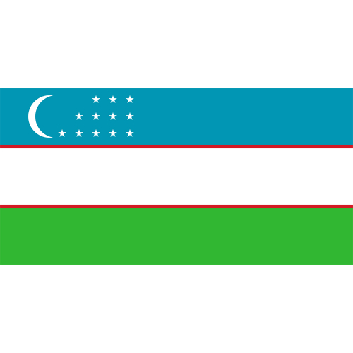 International Durable Polyester World Flag