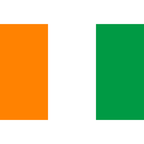 International Durable Polyester World Flag