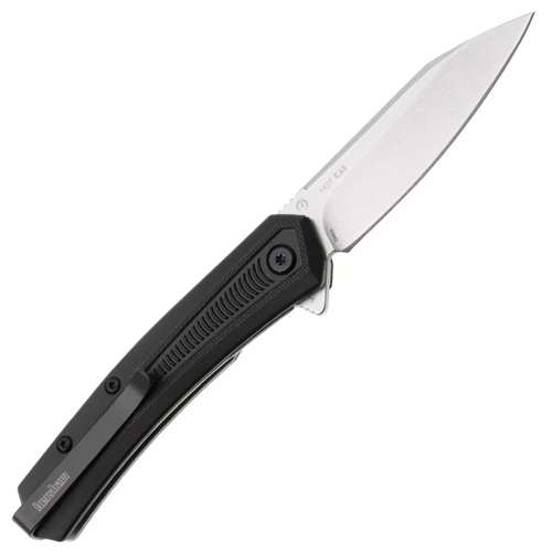 Kershaw Raygun Pocket Knife