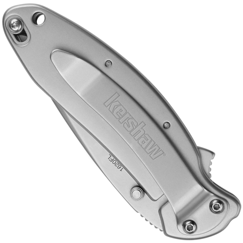 Scallion 420HC Steel 2.4 Inch Blade Folding Knife