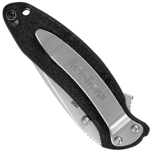 Scallion 420HC Steel 2.4 Inch Blade Folding Knife