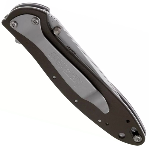 Kershaw Leek SpeedSafe Opening Folding Blade Knife