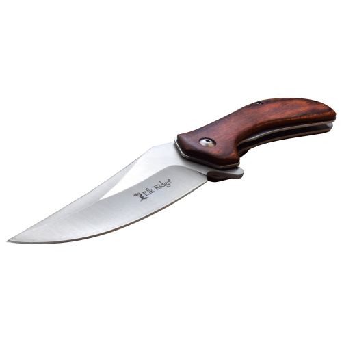 Masteer Cutlery Spring Assisted Folding Knife Blade