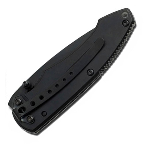 Folding Knife w/ Pocket Clip