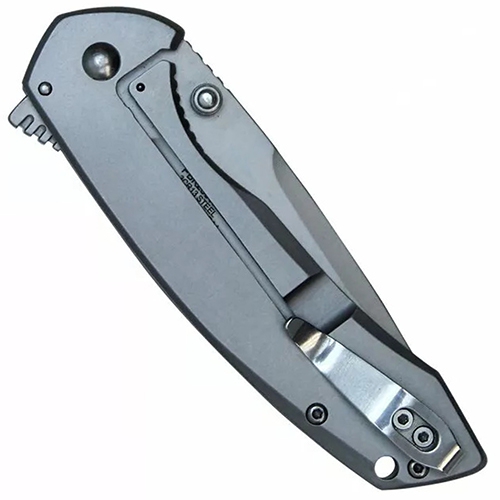 Spring Assisted Folding Knife