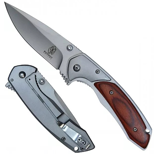 Spring Assisted Folding Knife
