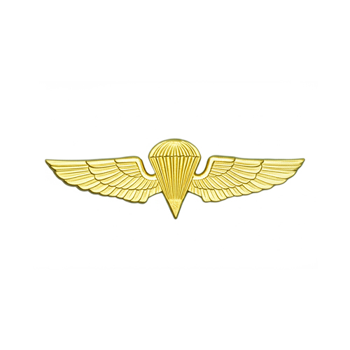 Wing USN Para Basic