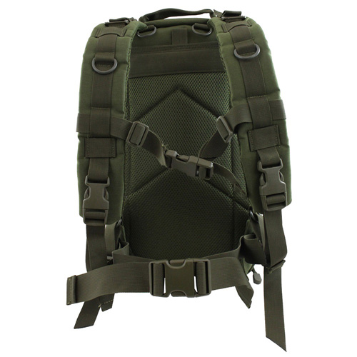 Raven X 25L Compact Assault Backpack