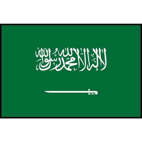 Flag Printed Patch - Saudi Arabia
