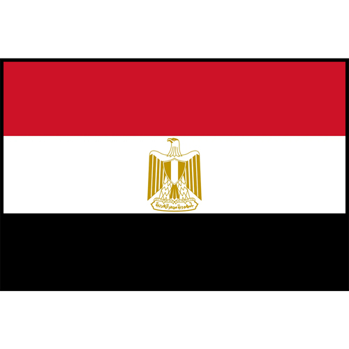 Flag Printed Patch - Egypt