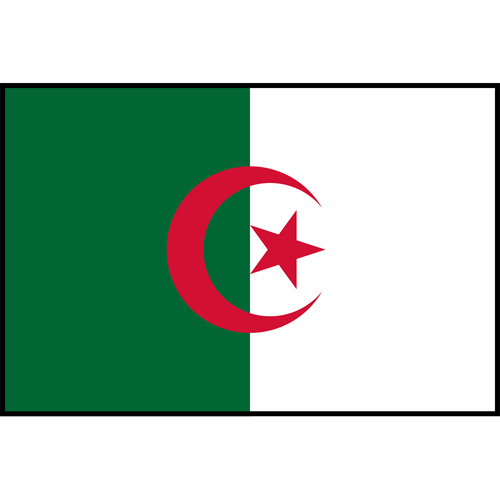 Flag Printed Patch - Algeria