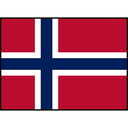 Flag Printed Patch - Norway