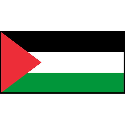 Flag Printed Patch - Palestine