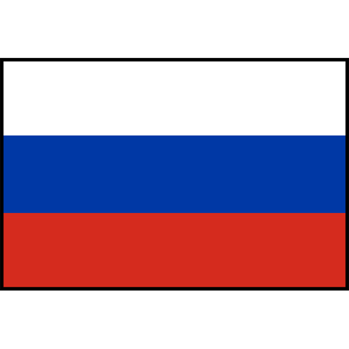 Flag Printed Patch - Russia