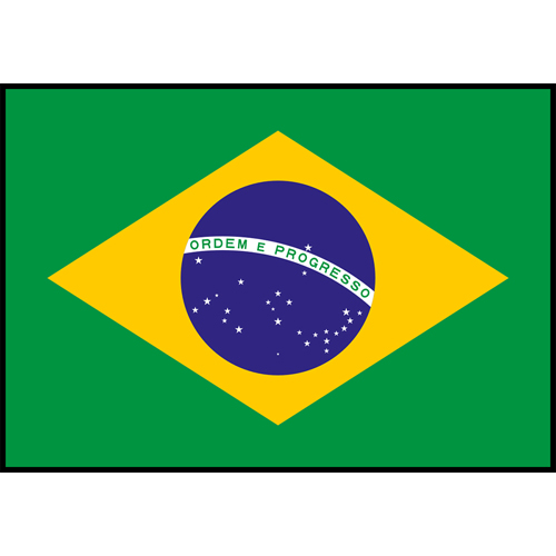 Flag Printed Patch - Brazil