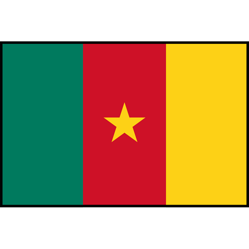 Flag Printed Patch - Cameroon