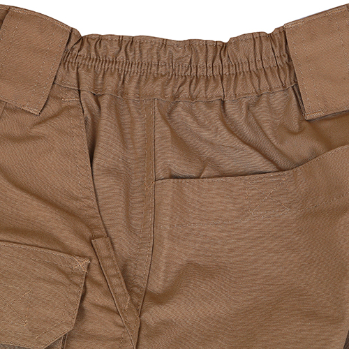 Raven X Strategic Short