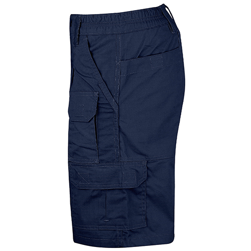 Raven X Strategic Short