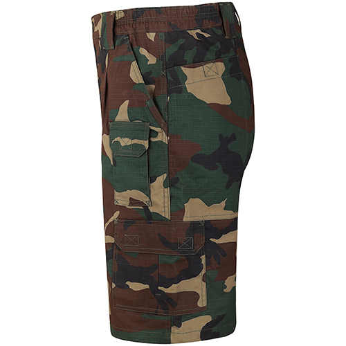 Raven X Strategic Short