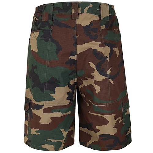 Raven X Strategic Short