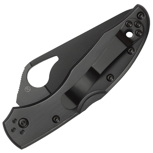 Byrd Meadowlark 2 Clip-Point Blade Folding Knife