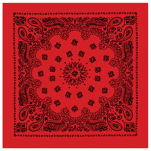 Trainmen Bandana
