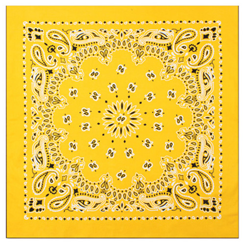 Trainmen Bandana